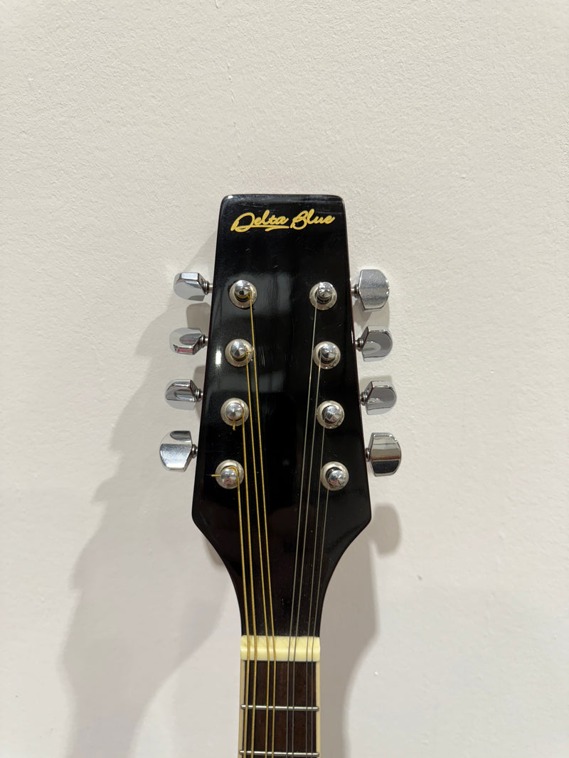 Delta Blue 8 String Mandolin (Red)- with Soft bag, new strings and mandolin chord book - image 11