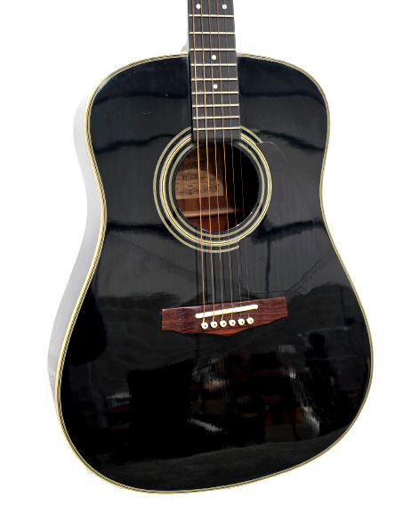 Ibanez PF10 - Acoustic Guitar - Black - Excellent w/ Soft Case