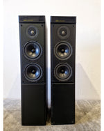 Meridian M60 Standing Speakers Pair - Black – Standing Speaker - Good - Image 16