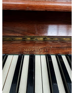 Danemann - Upright Piano - Walnut Upright Piano - Elegant Finish - Very Good - Image 2