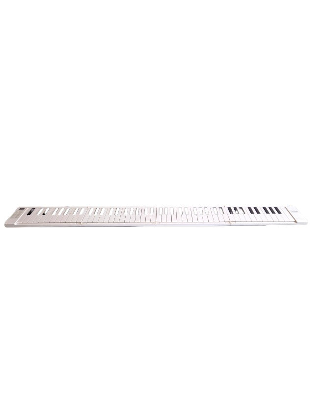 Carry On Folding Piano 88 - Keyboards - Like New w/ Power Supply, Soft Case, Sustain Pedal - Image 1