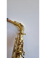 Elkhart 100AS - Saxophones - Excellent w/ Hard Case - Image 13