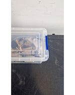 Assortment of Jacks - Adapters & Converters - Good - Image 6