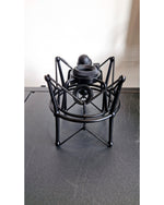 Townsend Labs Inc Sphere L22 - Microphone - Excellent w/ Hard Case & Cables - Image 12