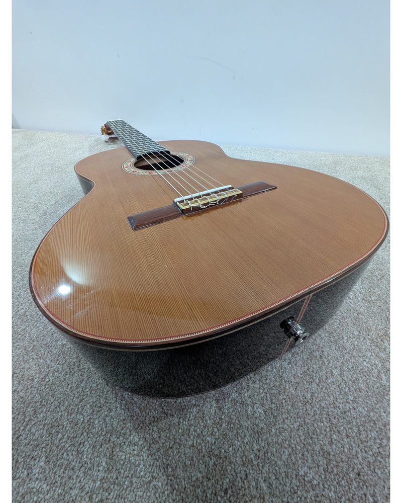Mendieta Artisan Z - Acoustic Guitar - Excellent w/ Soft Case - image 12