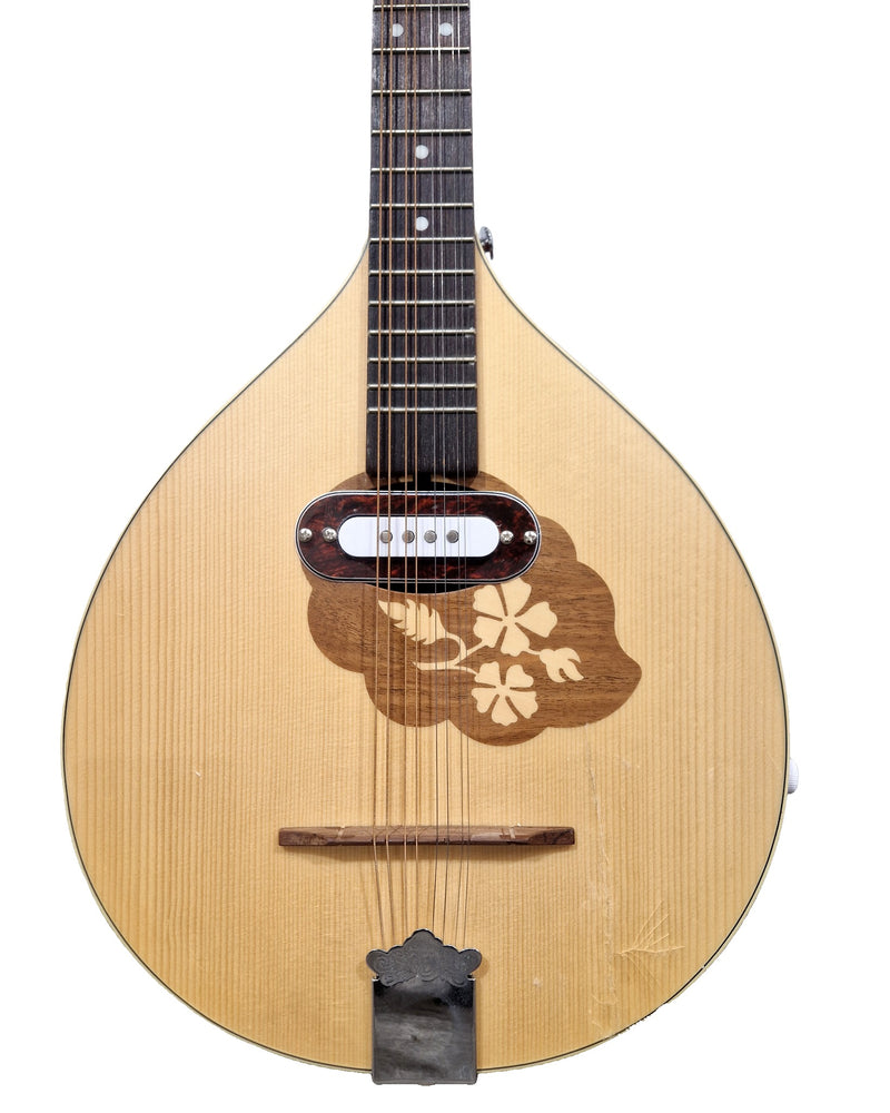 HORA Irish Bouzouki - String Instruments - Excellent - Image 1
