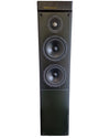 Meridian M60 - Floor Standing Speaker - Good - Photo 1