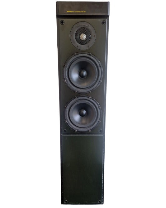 Meridian M60 - Floor Standing Speaker - Good - Image 1