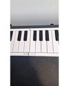 Carry On Folding Piano 88 - Keyboards - Like New w/ Power Supply, Soft Case, Sustain Pedal - Photo 4