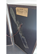 Kenwood LS34 - Hi-Fi Speakers - Black - Good - Image 6
