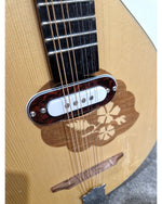 HORA Irish Bouzouki - String Instruments - Excellent - Image 6