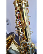 Elkhart 100AS - Saxophones - Excellent w/ Hard Case - Image 5