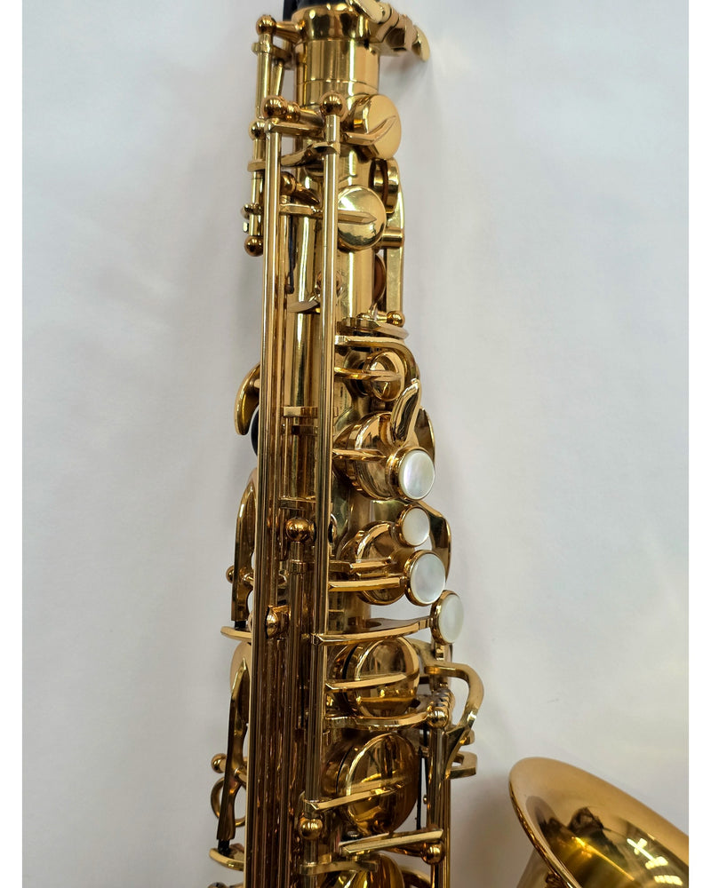Alto Saxophone SR by Trevor James - Saxophone - Gold - Very Good w/ Hard Case - image 9