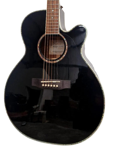 Takamine EG541DLX - Acoustic Guitars - Black - Excellent w/ Hard Case