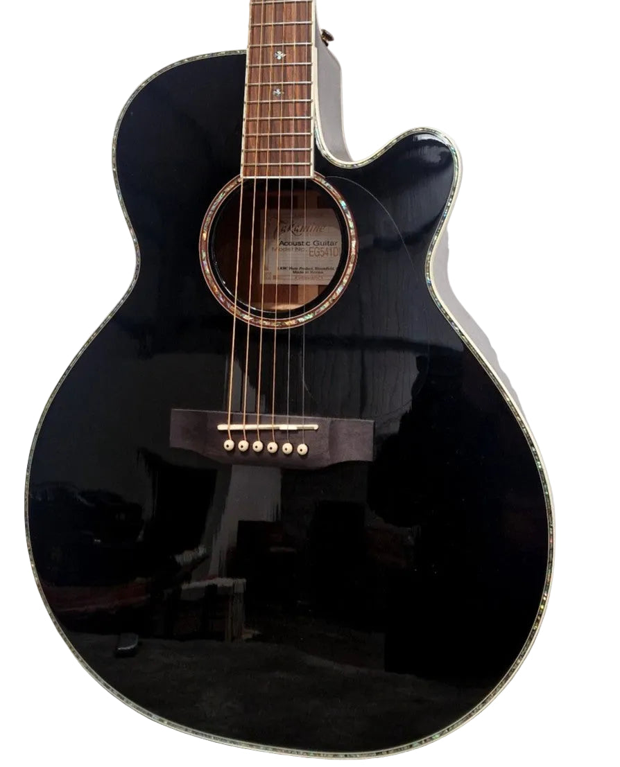 Takamine EG541DLX - Acoustic Guitars - Black - Excellent w/ Hard Case