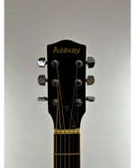 Ashbury Acoustic Resonator - Acoustic Guitars - Refurbished - Image 4