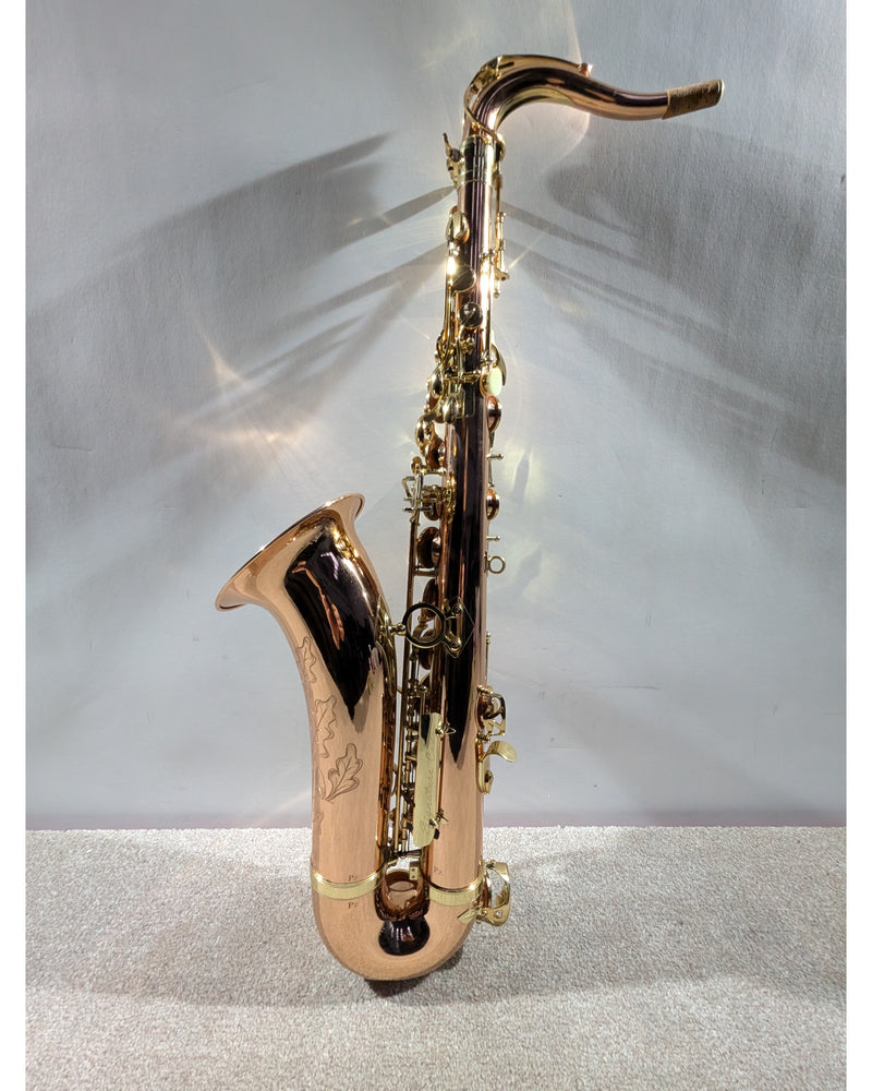 Trevor James Signature Custom Tenor Saxophone - Saxophone - Bronze With Gold-Coloured Keywork - Excellent w/ Soft Case - image 9