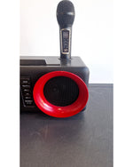 SDRD SD-307 - Karaoke System - Very Good - Image 14